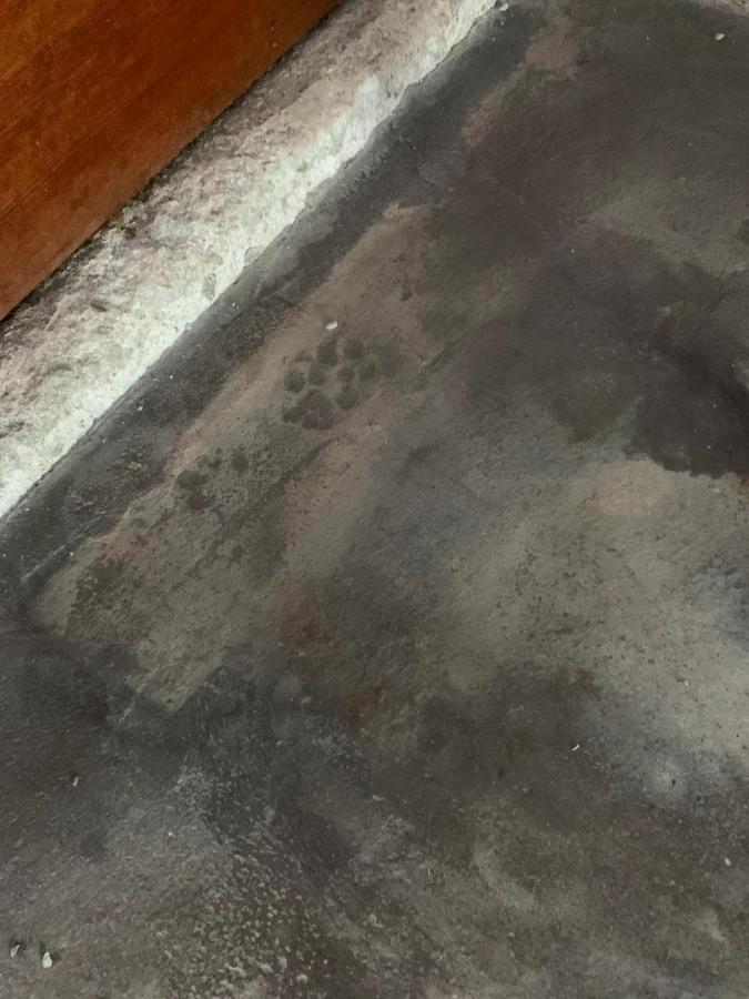 囲炉裏町家guesthouse Fujita 一棟貸切 Villa 無料駐車場 Hakusan Buitenkant foto